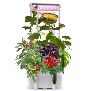 Home Grow indoor Desktop hydroponic growing systems Home Vertical Herb Garden jardin hydroponique