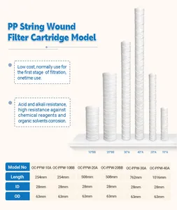 WCO Series 20/30/40/60 inci penyerap katun GF PE nilon PTFE PP String luka Filter air Cartridge