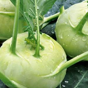 Farmhouse Organic Vegetable Garden <span class=keywords><strong>Kohlrabi</strong></span> Semear Pacote Planta Kit para Super Derretimento Sementes para Plantar Indoor/Outdoor para os Amantes - Product Image 1