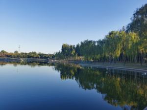 Геомембрана для плотин по заводской цене: 20 мил/45 мил/50 мил/75 мил/1,0 мм / Геомембрана для водохранилищ / Геомембрана для гидроизоляции плотин - Product Image 4