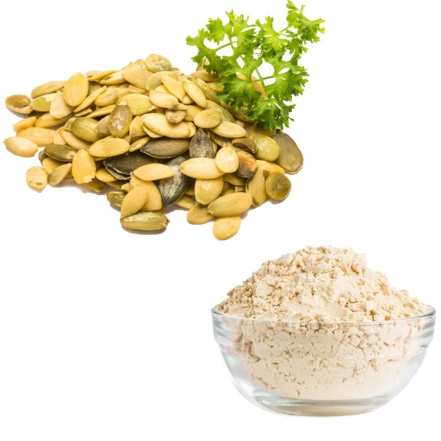HONGDA Supply Organic Pumpkin Seed Protein