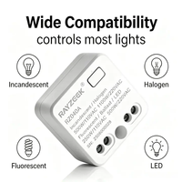 RZ040 Kabelloser Schalter-Empfänger-Kit 2,4GHz 20m Innenbereich Ohne Verkabelung Nachrüstbare Lichtsteuerung 100-230VAC 5A Empfänger Handgehaltener Sender