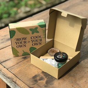 China supplier eco friendly custom design kraft paper cardboard mailing seed packaging containers boxes with window