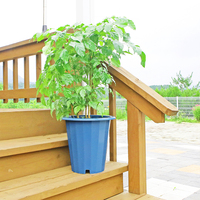 Pot Bunga Plastik Putih Modern dengan Lubang Drainase, Ringan, Desain Minimalis untuk Tanaman Indoor/Outdoor, Dekorasi Rumah dan Taman