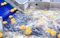20t/u Oranje Wasmachine Appel Avocado Perzik Mango Bellenwasser Borstelreiniger Industriële Oranje Waslijn