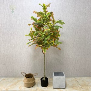 <span class=keywords><strong>Codiaeum</strong></span> <span class=keywords><strong>variegatum</strong></span> เทียมสีเขียว2025ใหม่มีก้านเสาพลาสติกสำหรับบ้านโรงแรมสำนักงานสวนตกแต่งกลางแจ้งในร่ม - Product Image 2