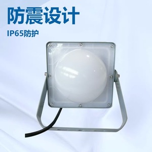 ไฟ LED แบบกันน้ำ NFC9192 Tri Proof 100W IP65 สีขาวบริสุทธิ์ สำหรับติดตั้งภายนอกอาคาร - Product Image 5