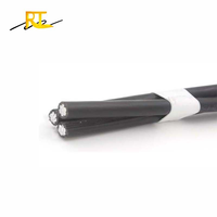 2x10mm 2x16mm2 25mm2 35mm2 2 Core Aluminium XLPE ABC Câble Twisted Aeril Bundle Wire Overhead Line