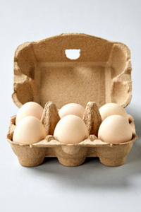 Thực phẩm cấp giấy bột giấy hình chữ nhật khay trứng bao bì hộp-Phân hủy sinh học chống sốc chống rơi cho sử dụng nông nghiệp - Product Image 6