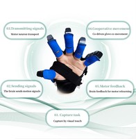 Gants de thérapie pour les doigts et les mains, vente directe en usine, gants de rééducation pour massage électrique