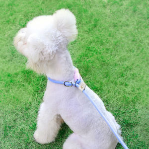 Guinzaglio per cani da compagnia per camminare sulla catena multifunzionale per cani per uso esterno per prevenire l'esplosione - Product Image 4