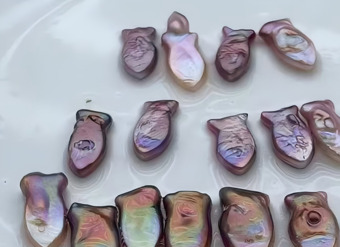 multi pearl mussel-Colorful Mermaid