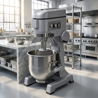 Mélangeur planétaire professionnel en acier inoxydable avec bol amovible, multi-vitesses, 20 L, pour boulangerie et cuisine