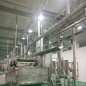 Máquinas y equipos modernos de matadero de ganado para <span class=keywords><strong>operaciones</strong></span> eficientes - Product Image 5