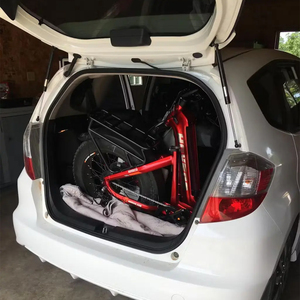 Vélo <span class=keywords><strong>pliant</strong></span> électrique rouge F008 de 20 roues, cadre en acier 1500W, vélo <span class=keywords><strong>pliant</strong></span> électrique Dirt Folding Ebike Mini Size Hybrid E Bike - Product Image 6