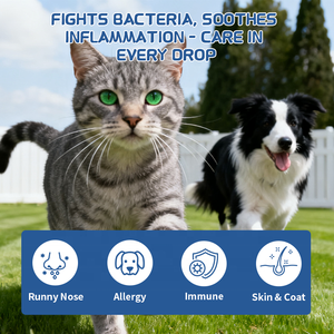 Evcil hayvanlar için toptan doğal alerji bağışıklık damlaları köpekler kediler için kaşıntı sağlık sıvı tüm ırkları Pet bağışıklık destek sıvı - Product Image 4