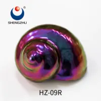 Shengzhu renk değiştiren epoksi reçine bukalemun pigmentler için araba boyası