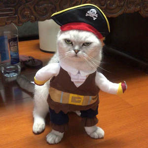 आधुनिक शैली के पालतू कुत्ते बिल्ली कोस्प्ले पोशाक मजाकिया हेलोलीन काउबॉय सवारी संगठन नायलॉन फ्लैनेल ठोस मजेदार पालतू सामान बनाया - Product Image 5