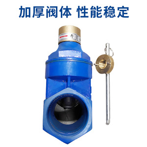 Válvula de Compuerta de Hierro Fundido con Disco de Latón FNPT x FNPT, Válvula de Cierre de Agua de Una Sola Vía - Product Image 5