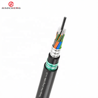 Câble à fibre optique Hao Cheng GYTA53 monomode G652D/G655, blindage en ruban d'acier enterré, entièrement étanche