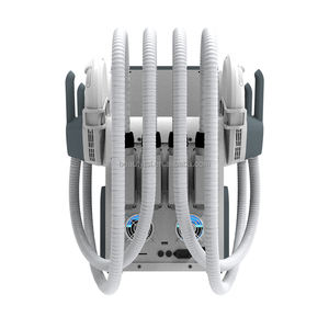 Telsashape Emslim Neo - Product Image 5