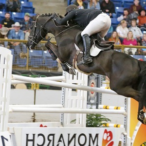 <span class=keywords><strong>Ostacoli</strong></span> Equestri Professionali per Allenamento Aochi Factory con Pali in PVC e Salti per Cavalli in Alluminio a Costo Contenuto - Product Image 2