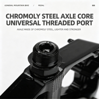 Pédale de vélo personnalisée OEM ODM en acier inoxydable/alliage d'aluminium usinée CNC de haute précision, pièces de rechange pour vélo usinées CNC, brochage LongCheng