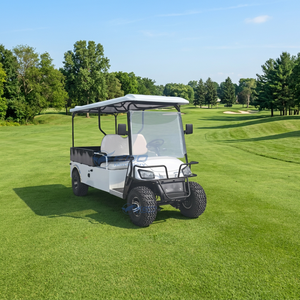 Carrito de Golf Eléctrico Blanco de Lujo en Oferta, Buggy de Hotel de 2 Plazas, Camioneta de Golf Eléctrica - Product Image 1