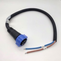 IP67 protección a prueba de agua empuje autoblocante M19 serie 2pin 20A conector hembra conjunto de cable 2way 2, 5 mm2 cable de goma
