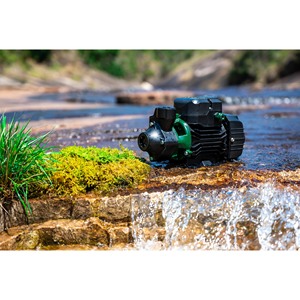 Bomba <span class=keywords><strong>de</strong></span> Agua <span class=keywords><strong>de</strong></span> Riego Agrícola para Jardín Periférico, Motor <span class=keywords><strong>de</strong></span> Bombas Eléctricas 3/4, <span class=keywords><strong>1</strong></span>, 2, <span class=keywords><strong>HP</strong></span>, PM, QB, <span class=keywords><strong>Precio</strong></span> <span class=keywords><strong>de</strong></span> Fábrica Limpia, Hogar, QB60 - Product Image 2