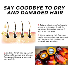 Champú <span class=keywords><strong>y</strong></span> <span class=keywords><strong>Acondicionador</strong></span> Orgánico de Marca Privada <span class=keywords><strong>para</strong></span> el Crecimiento del Cabello, Anti-Frizz, con Aceite de Batana, <span class=keywords><strong>para</strong></span> Fortalecer <span class=keywords><strong>y</strong></span> Reparar el Cabello Dañado - Product Image 5