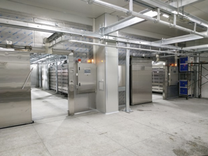 Máquina Comercial Automática de Descongelación de Carne con Almacenamiento Térmico, Baja Temperatura y Alta Humedad para Conservación de Frescura - Product Image 2
