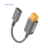 Câble de charge pour WiiU, adaptateur de chargeur femelle de type C, convertisseur d'alimentation de 12cm pour Nintend