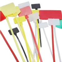 Attaches de marqueur de câble autobloquantes 2.5*100mm 1000 pièces étiquettes de fil de Nylon colorées étiquettes blanches en plastique attaches zippées de câble personnalisables OEM