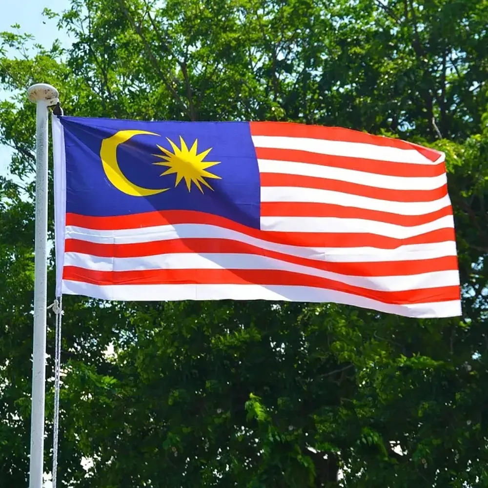 Рекламный продукт, оптовая продажа, 3x5 футов, 100% полиэстер, малайзийский национальный флаг на заказ