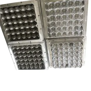 Chicken farm purchase chicken eggs mould to make molded pulp packaging