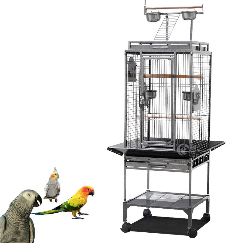 bird heater petsmart
