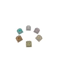 Keycap Crystal Paw translucide, effet gelée, couleurs pastel, pour clavier mécanique, base givrée, pad 3D, cadeau