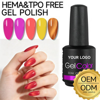 Vernis à ongles en gel UV 15 ml, 12 couleurs, échantillon gratuit, vente en gros, fournitures pour ongles, étiquette privée personnalisée, pour salon, usine OEM