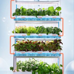 Mini Invernadero Inteligente con Luz LED para el Hogar, Sistema Hidropónico para Cultivo de Hierbas y Vegetales, Kit de Cultivo Hidropónico Interior - Product Image 5