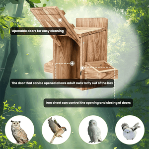 大型手工雪松木尖叫猫头鹰鸟盒天然木制鸟屋，带圆形开口 - Product Image 4