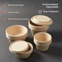 Bols jetables en pulpe de canne à sucre biodégradable de qualité alimentaire, modèle NX-zjw, pour fêtes, barbecues, usage domestique et commercial