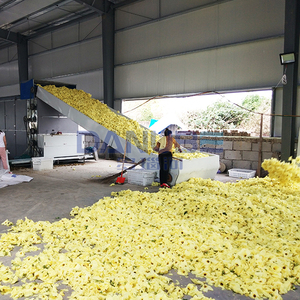 Séchoir à granulés de biomasse à bande transporteuse certifié qualité pour Sunset Muskmallow, machine de séchage de Sunset Muskmallow - Product Image 3