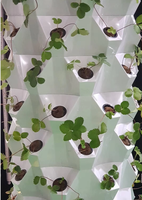 Grand système de culture hydroponique à 8 niveaux, jardin vertical d'intérieur, jardinière en verre trempé pour fraises, légumes, herbes