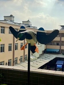 Décoy de canard réaliste activé par le <span class=keywords><strong>vent</strong></span> avec grandes ailes battantes pour la chasse, en plastique PE imperméable, parfait pour les lacs et les marais - Product Image 3