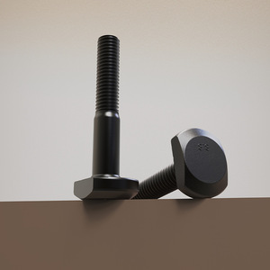 Baifite T-Bolt M12-M24 Acier au carbone Oxyde noir Qualité industrielle Fixation - Product Image 4