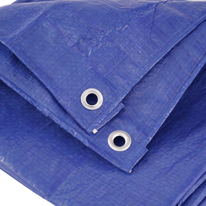 Lona de Polietileno con Protección UV, Tela Plástica para Agricultura/Industria - Product Image 3