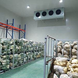 Chambre Froide de croissance de champignons, congélateur, équipement de Chambre Froide, Chambre Froide, Chambre Froide - Product Image 2