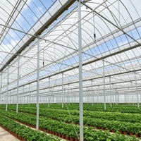 Serre hydroponique commerciale moderne pour légumes verts, système d'agriculture verticale NFT automatisé en A-frame, structure en acier léger pour laitue