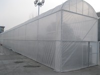Bâche PE 100% Transparente avec Traitement Anti-UV pour Serre Agricole, Couverture de Plantation (Cerisier ou Autres Végétaux)